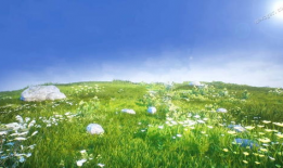 青青草原在线视频免费观看,免费视频盛宴等你来享